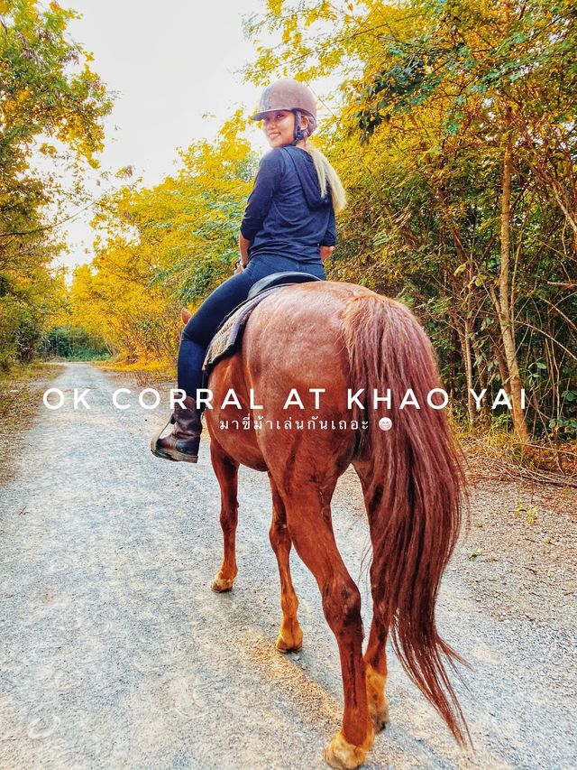 มาขี่ม้าสไตร์คาวบอยกันที่ ok corral 