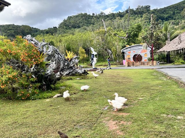 🐇 ร้านโพรงกระต่าย Rabbit Hole AT Phuket🐇