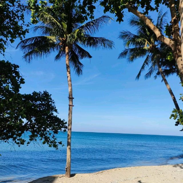 ที่พักติดทะเล หาดทรายขาว เกาะช้าง