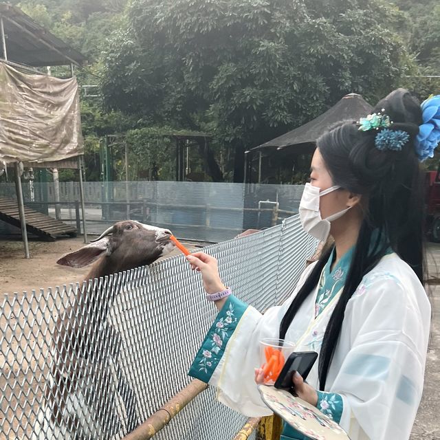 《穿越漢楓》漢服體驗