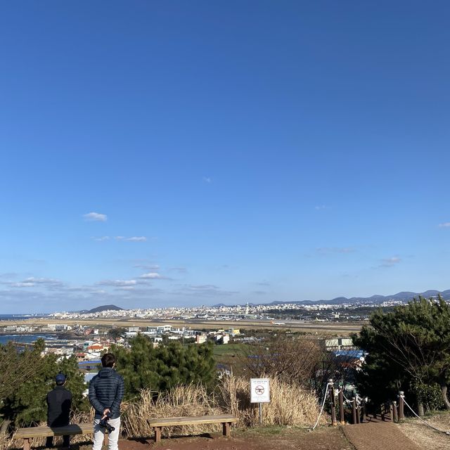 제주도에 가면 꼭 가봐야 할 제주시 핫플장소