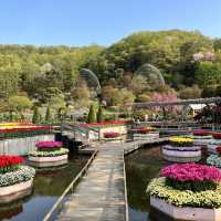【栃木】チューリップが満開🌷まだまだ桜も楽しめる✨