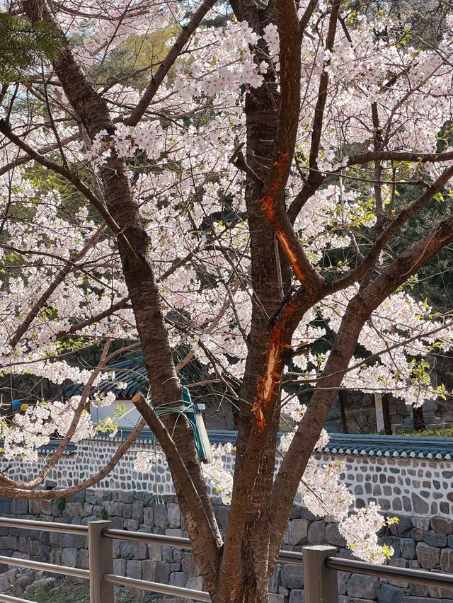 북한산과 정릉천이 이쁜 산책길 ‘정릉산책길’