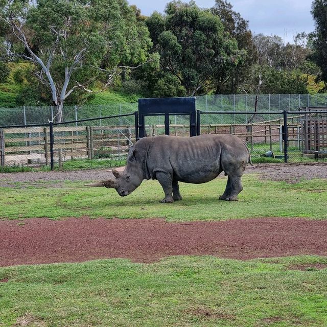 Close Encounters In Werribee