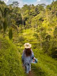 Beautiful Rice Terrace in Ubud, Bali 