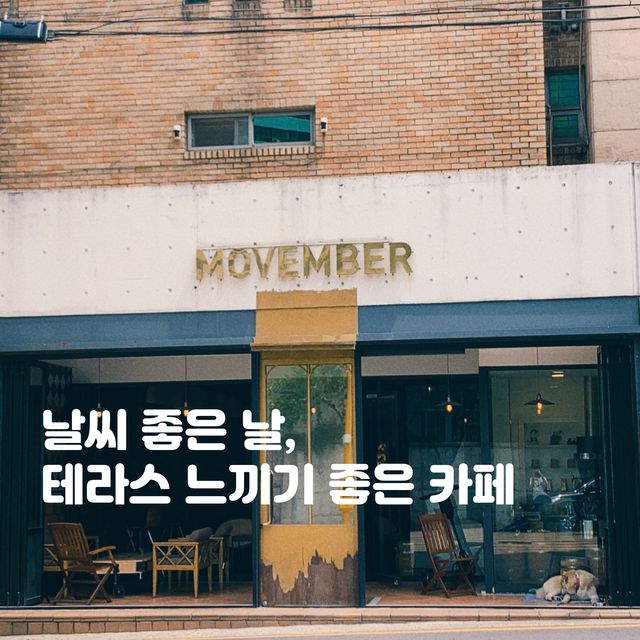 테라스 느끼기 좋은 카페, 신논현역 근처 '모벰버'