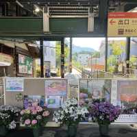【神奈川】紫陽花を見ながら電車の旅