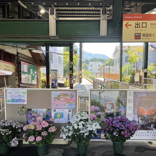 【神奈川】紫陽花を見ながら電車の旅