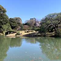 【東京】しだれ桜が有名🌸都内の公園「六義園」