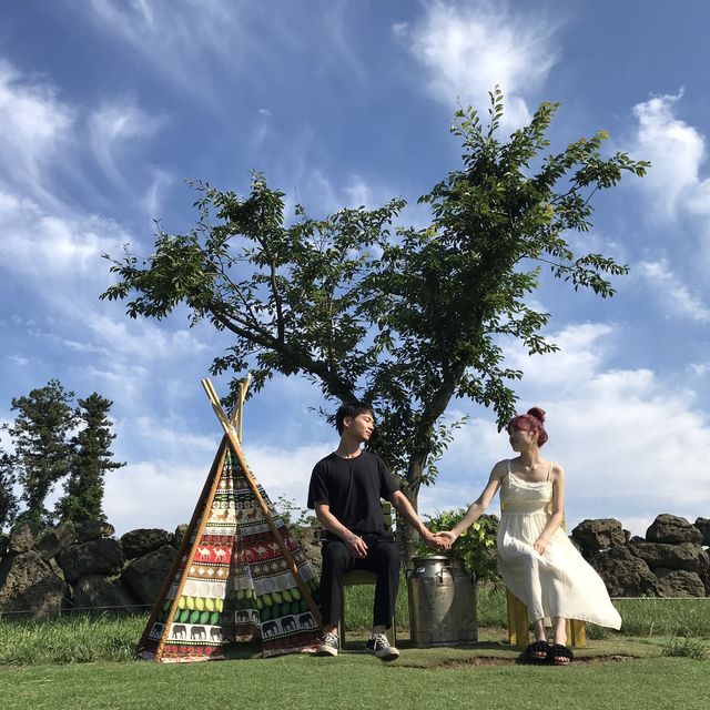 청량함이 가득했던 제주 아침미소목장🌿
