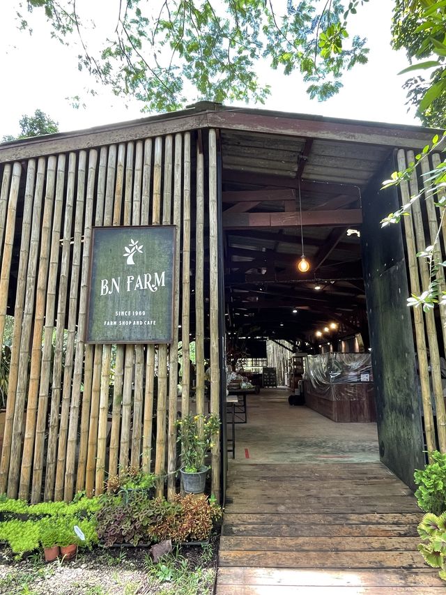 BN Farm ไร่บีเอ็น พืชผักผลไม้ ของท้องถิ่น