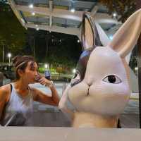 與♡星月兔🐰♡的相聚