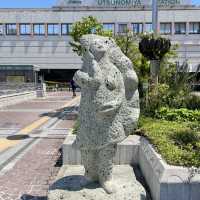 【来らっせ】宇都宮中の餃子が集まるお店