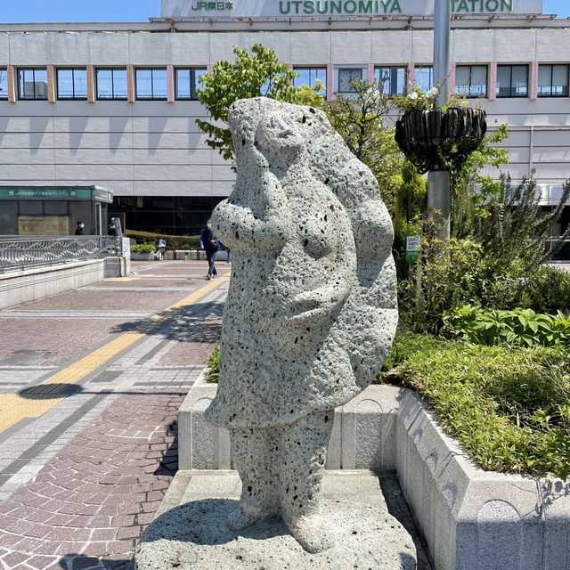 【来らっせ】宇都宮中の餃子が集まるお店