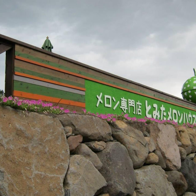 北海道富田農場‼️夏日超令薰衣草園💓