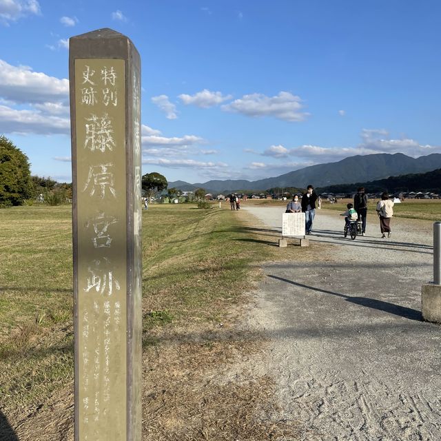 【奈良県】古都奈良のコスモス畑へ