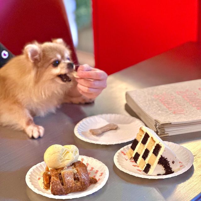 寵物友善蛋糕店🍰雪糕蘋果批