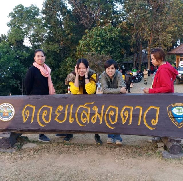 ชมหมอกตอนเช้า ณ ดอยเสมอดาว 