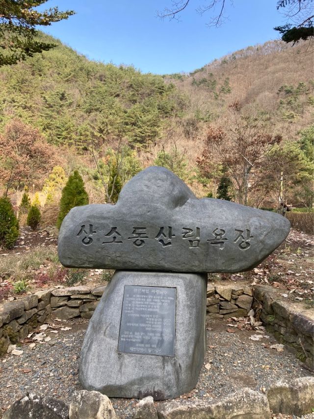 대전 아이와함께 등산하기 좋은