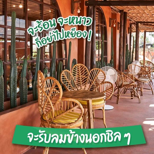 🐫🌵คาเฟ่ทะเลทรายสไตล์แอฟริกา สายคาเฟ่ไม่ควรพลาด