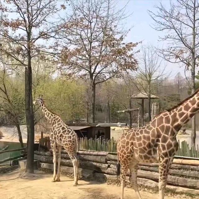 主題樂園🤓