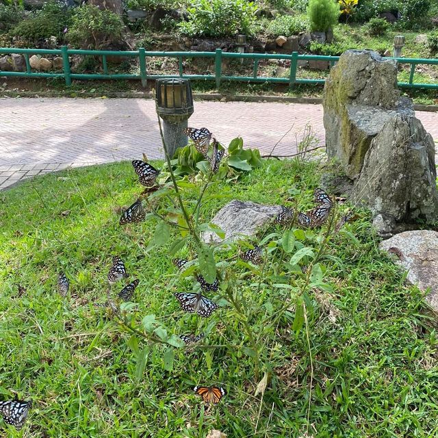 行山日