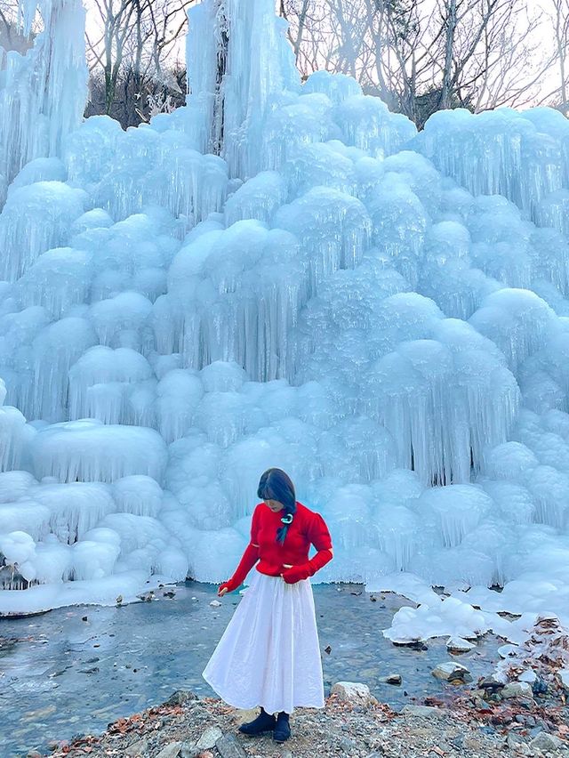 대구판 겨울왕국 ❄️👑