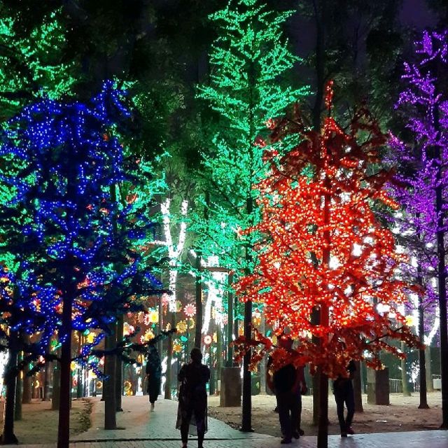 Wonderful i-City at Night 