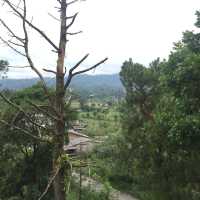 SIBOLANGIT