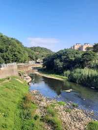 【桃園】散步好去處-桃林鐵路