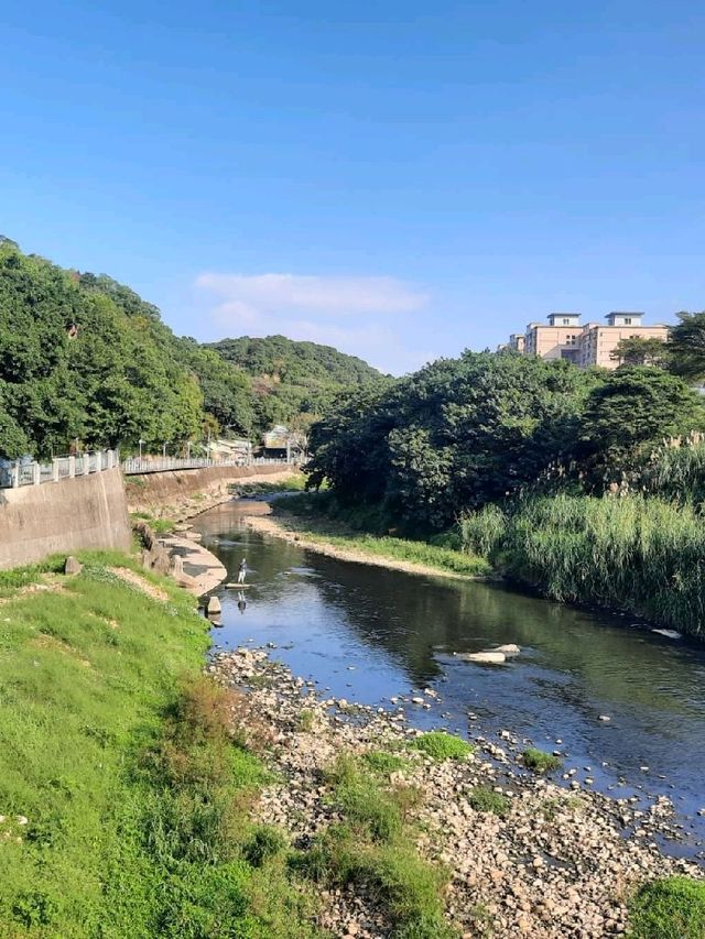 【桃園】散步好去處-桃林鐵路