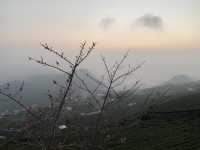 阿里山石棹步道群-吳鳳廟