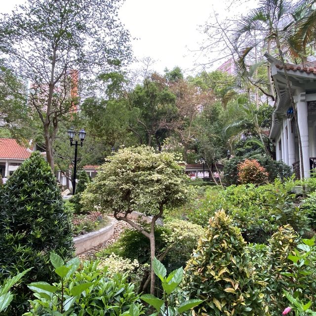 大角咀中式公園賞花｜漸變色橙黃花、烏龜、中式涼亭