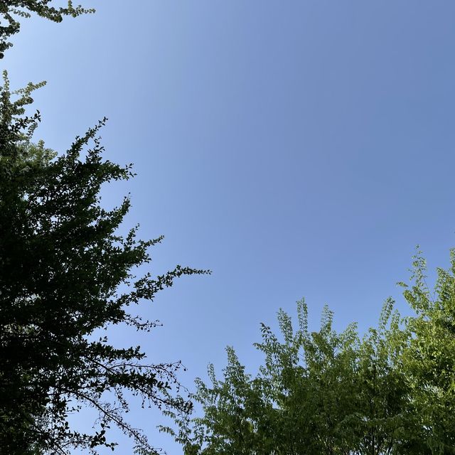 봄엔 서울숲에서 피크닉이죠! 🌱🌸