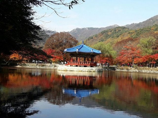 내장산 백양사