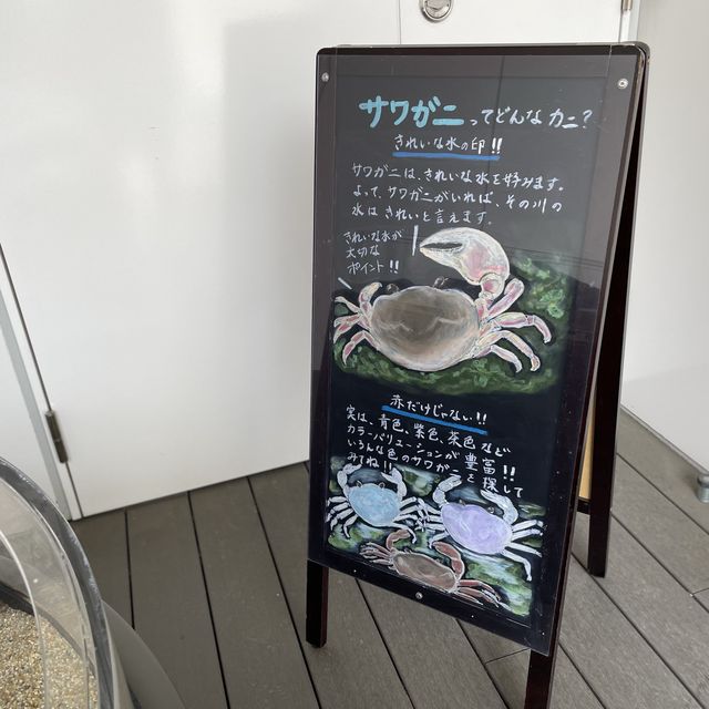大きすぎず、まわりやすい！ゆっくりできる綺麗な水族館