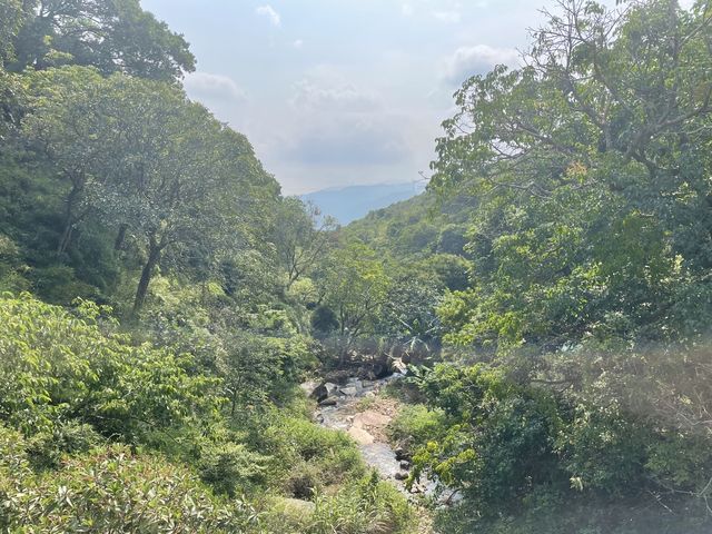 超靚大草原｜昂坪高原