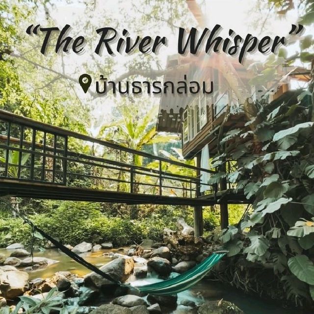 The River Whisper
| บ้านเล็ก..ในป่าใหญ่ 🌳🪵