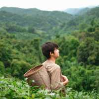 สัมผัสบรรยากาศดีช่วงหน้าฝน ที่ไร่ชาลุงเดช