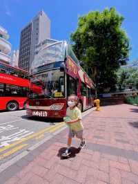 Big bus 九龍歷史遊