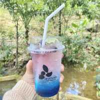 Khao Suan Pho - เขาสวนพ่อ