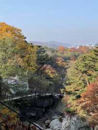 북한산 둘레길 🍁 단풍놀이 명소