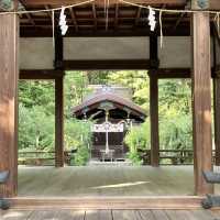 【京都】京都三名水を味わえ四季の花が楽しめる