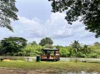 323 Camp & Slow bar cafe
