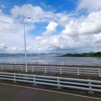 另類觀光遊@:深圳灣大橋