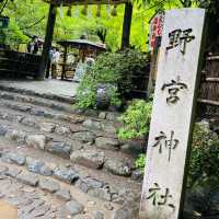 【京都嵐山】言わずと知れた観光地