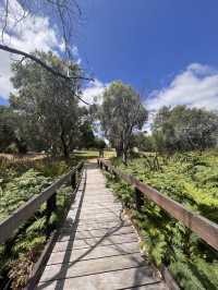 Trees and Twigs @ Yanchep National Park! 🫣🤩
