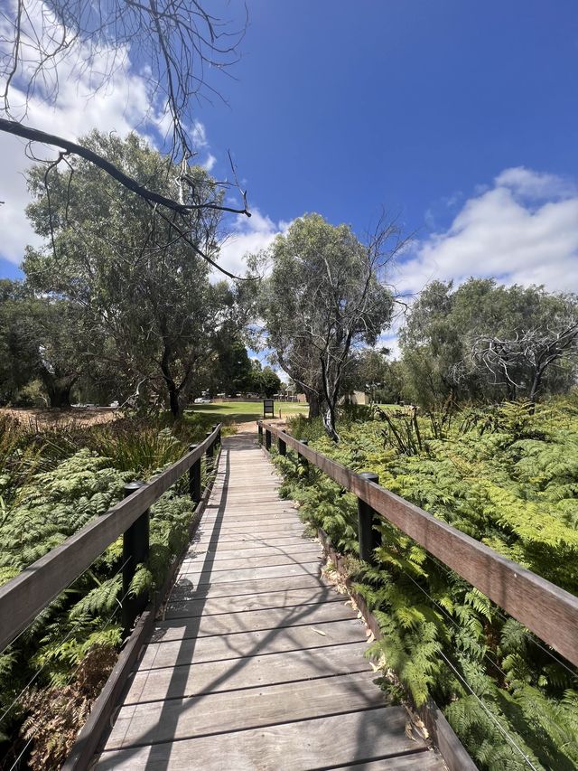 Trees and Twigs @ Yanchep National Park! 🫣🤩