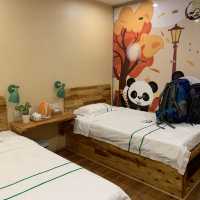 🇨🇳 Panda-themed Accommodation in Chengdu