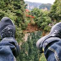 a lifetime trip to the land of "Avatar"! 